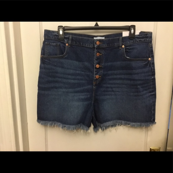 NWT Loft high waist denim shorts size 34/18 petite. - Picture 1 of 2